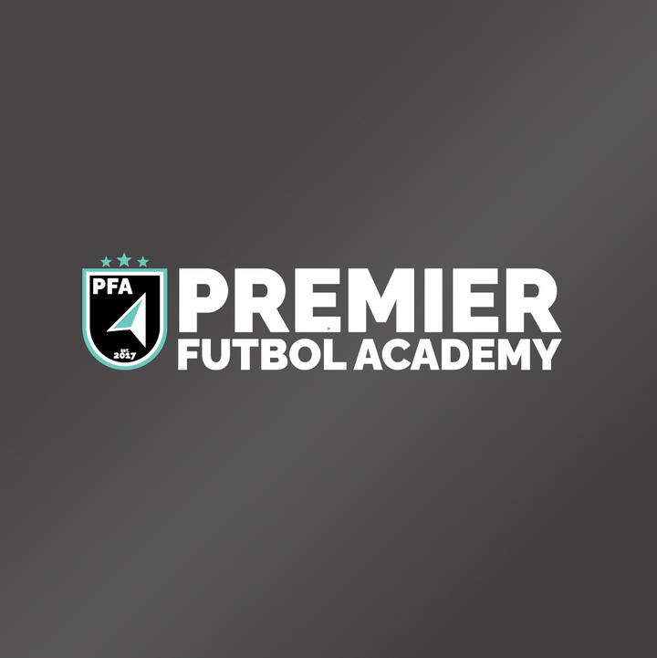 Premier Futbol Academy Window Decal